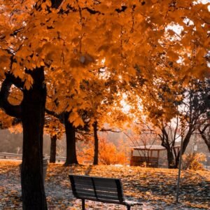 Fall is Here: Stay Warm and Stylish with These Cozy Jackets!